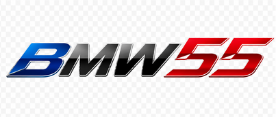 BMW55